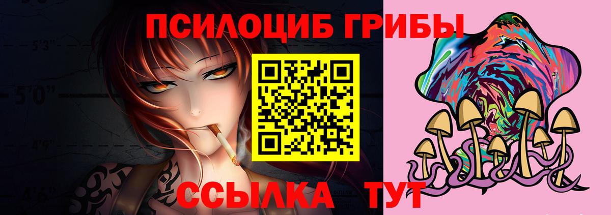 Каменск-Шахтинский  Галлюциногенные грибы Magic Shrooms  Вход с VPN 